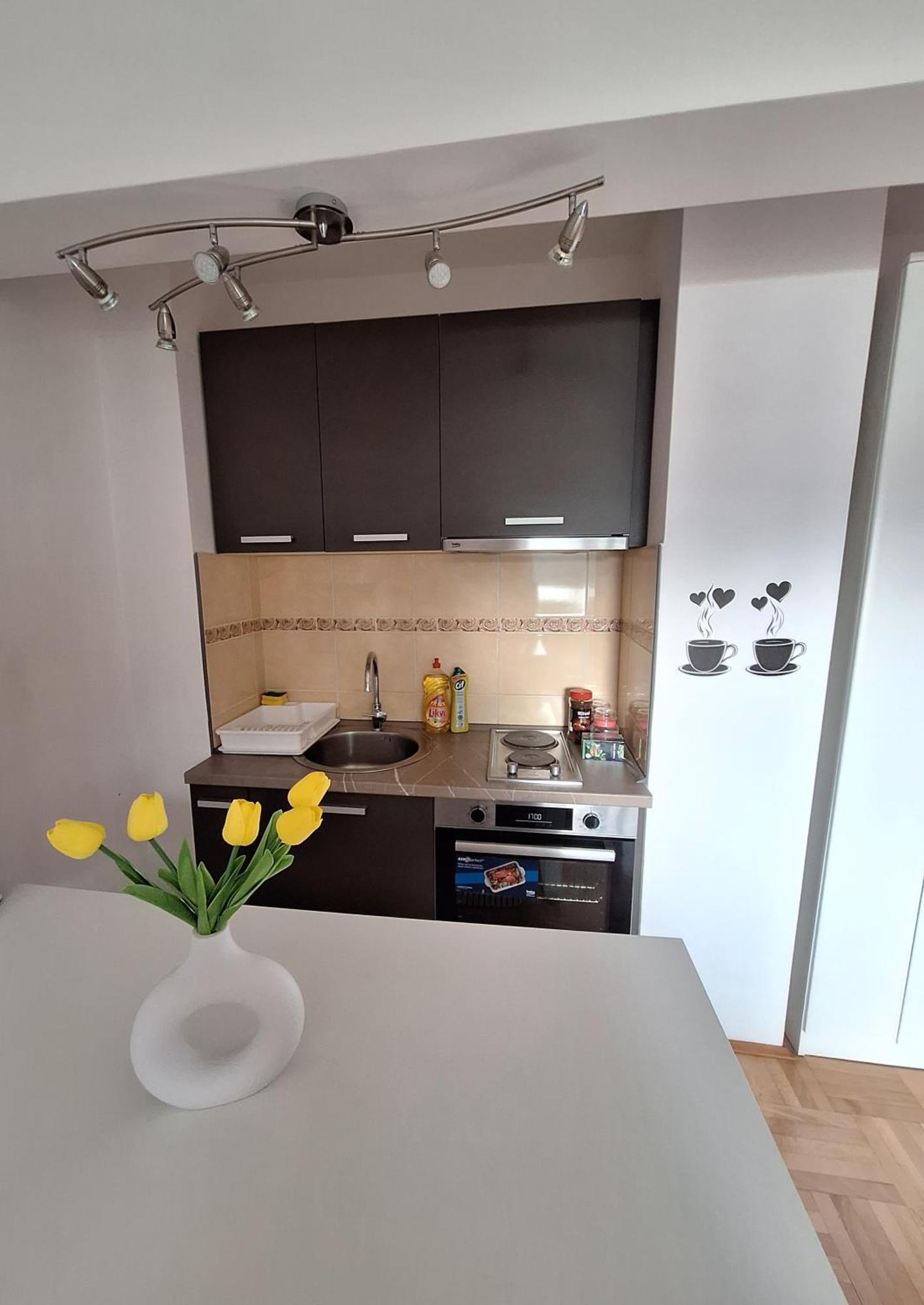 Apartment Lake Story Pluzine Luaran gambar